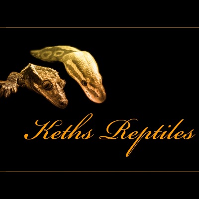 Keths Reptiles