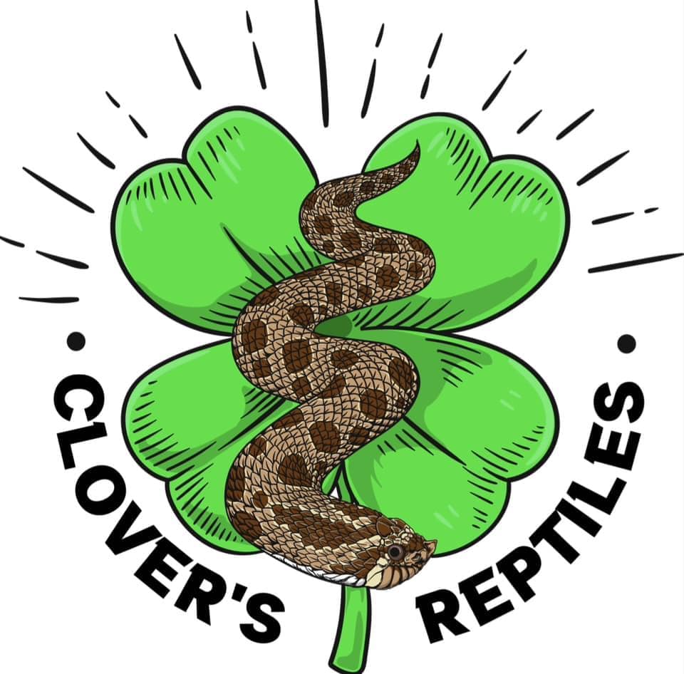 Clover’s Reptiles