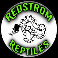 Redstrom Reptiles