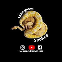 Wezen.2.Snakes