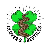 Clover’s Reptiles