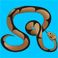 Sardinia Reptiles