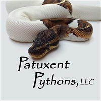 Patuxent Pythons