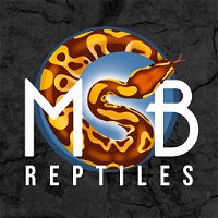 MSB Reptiles