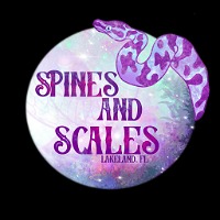 Spines and scales