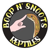 Boop n' Snoots Reptiles LLC