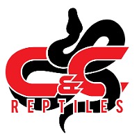 C&C Reptiles