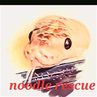 Noodle rescue 