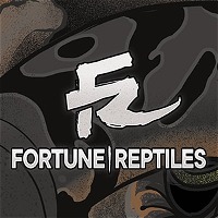 FORTUNE | REPTILES