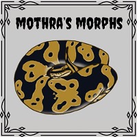Mothra’s Morphs
