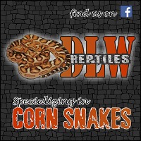 DLWReptiles