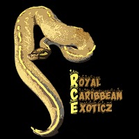 Roysl Caribbean Exoticz