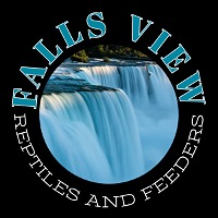 FallsView Reptiles