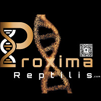 Proxima Reptilis 