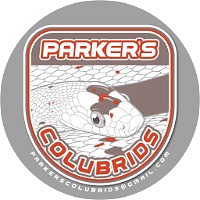 Parker's Colubrids