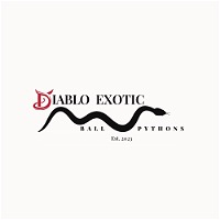Diablo Exotic Pythons