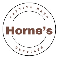 Horne’s Reptiles