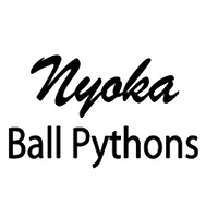 Nyoka Ball Pythons