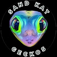 Sand Kat Geckos