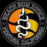BeachBumXotics