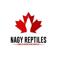 Nagy Reptiles
