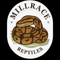 Mill Race Reptiles