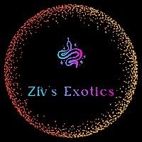 Ziv's Exotics