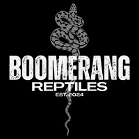 Boomerang Reptiles