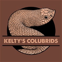 Kelty's Colubrids